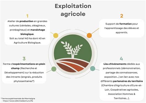 Vue aérienne schématique d'une exploitation agricole et ses zones de production
