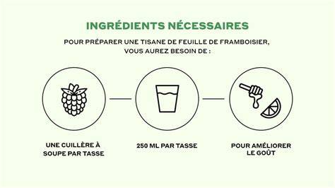 Infographie montrant les étapes de préparation d'une infusion de feuilles de framboisier