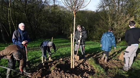 plantations d'arbres fruitiers