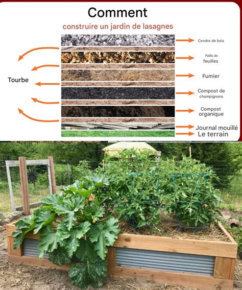 Illustration d'un potager en lasagnes avec légumes plantés et paillage
