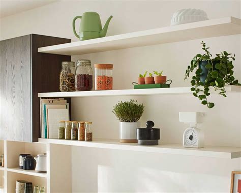 Collection variée de cactus d'intérieur sur une étagère