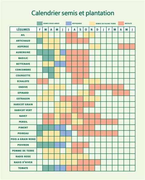 Schéma illustrant le cycle annuel du jardinage : semis, croissance, récolte et conservation des graines