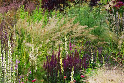 Jardin naturel mettant en valeur la biodiversité autour des graminées