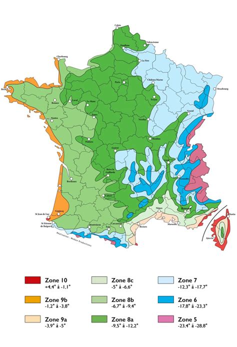 Carte de répartition des zones de rusticité pour le jasmin étoilé