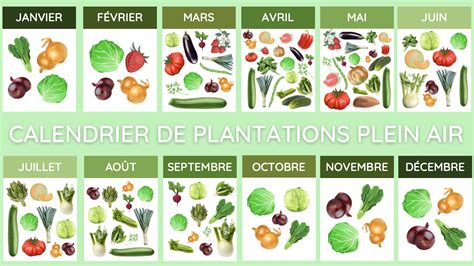Calendrier mensuel de plantation des fruitiers : de novembre à mars