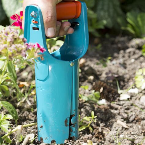 Plantoir à bulbes en action