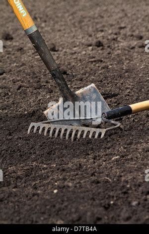 Préparation du sol avec une bêche