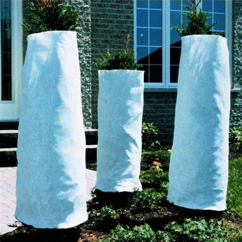 Schéma illustrant les différentes méthodes de protection hivernale pour les bougainvilliers en pot et en pleine terre