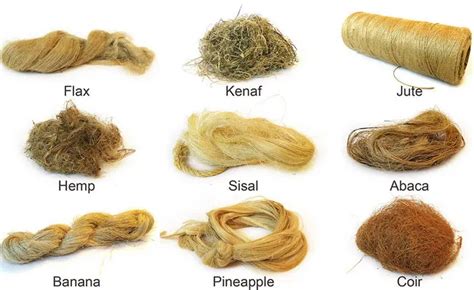 Échantillons de fibres de kénaf et produits fabriqués