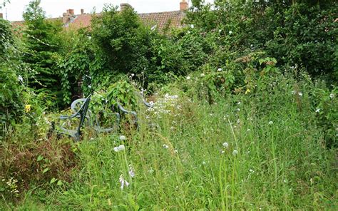 Personne âgée jardinant avec difficulté ou jardin en friche