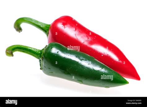 Récolte de piments rouges et verts