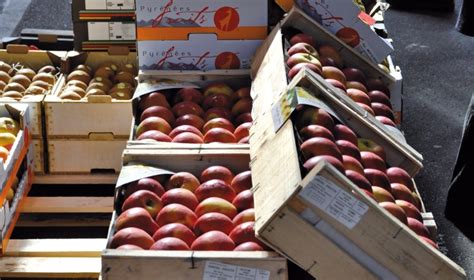 Cagettes de pommes de terre séchant au soleil