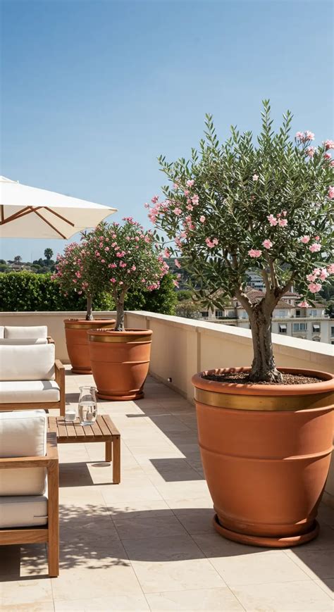 Aménagement de terrasse avec de grands contenants en terre cuite