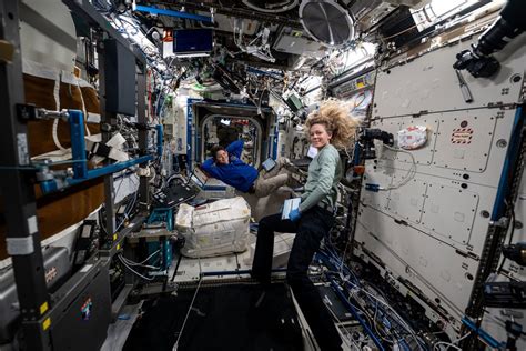 Photo historique des premières serres expérimentales à bord de la station spatiale MIR