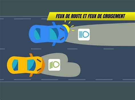 Diagramme illustrant les compatibilités de croisement entre différentes espèces de Cucurbita