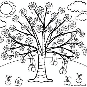 Illustration détaillée d'un cerisier avec ses fleurs et ses fruits pour coloriage
