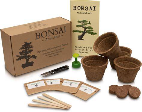 un kit de culture bonsaï complet incluant graines, terreau et pots de germination