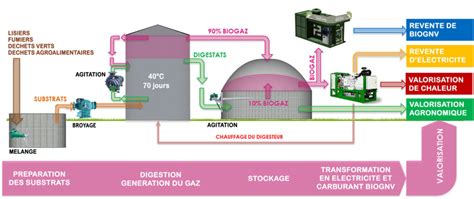 Schéma global d'une unité de traitement de fumier