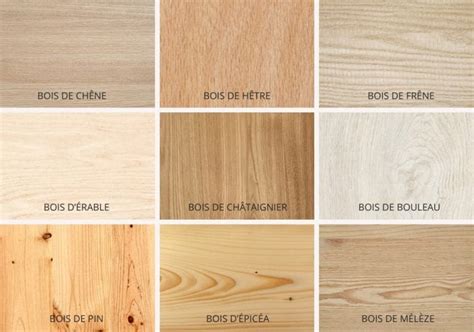 Comparaison visuelle des essences de bois pour le jardin