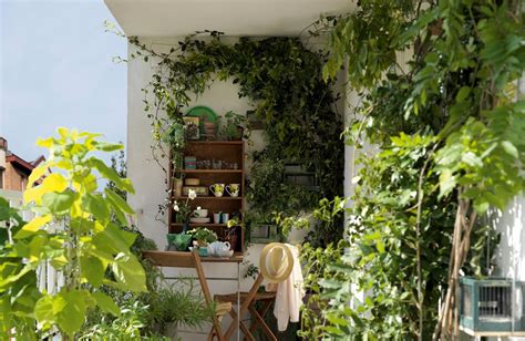 Aménagement de balcon avec diverses plantes en pots sur supports