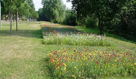 Jardin avec zones de tonte raisonnée