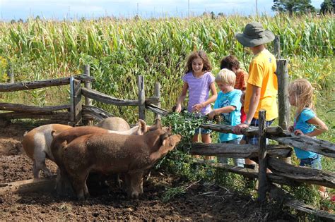 Image d'une ferme pédagogique avec des enfants
