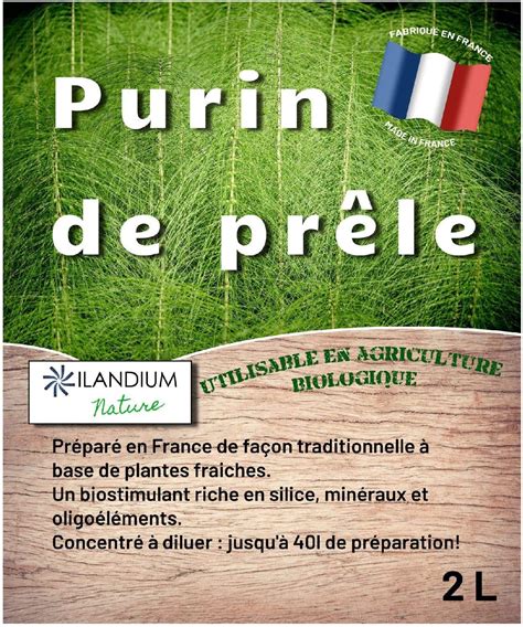 Schéma des interactions synergiques du purin de prêle avec d'autres purins végétaux