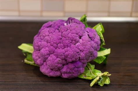 Chou-fleur violet fraîchement récolté