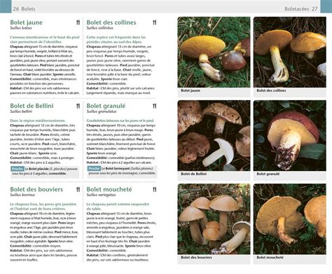 Pile de guides d'identification de champignons