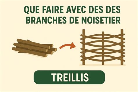 Exemple de tuteurage avec des branches de noisetier