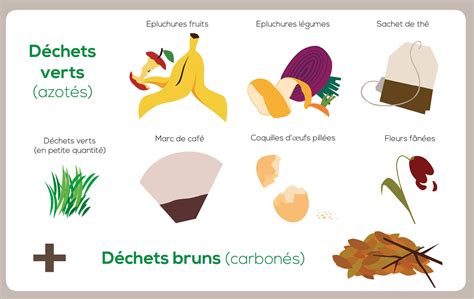 Infographie illustrant les déchets compostables et non compostables