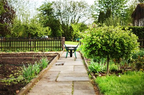 Jardin verdoyant et fleuri