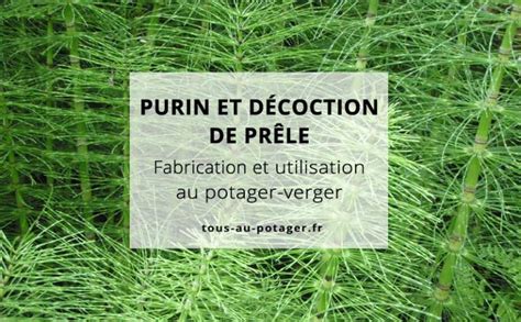 schéma de l'application du purin de prêle sur les feuilles