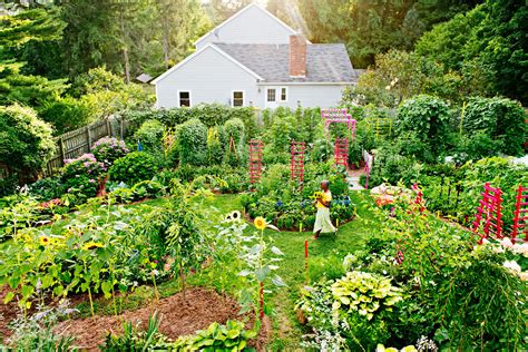 Permaculture jardin