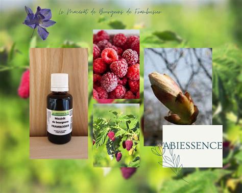 Flacon de macérat de bourgeons de framboisier