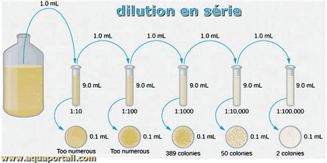 Schéma illustrant le processus de dilution en série et d'ensemencement en boîte de Petri