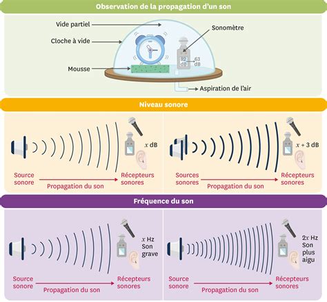 Schéma illustrant les zones sonores de voisinage