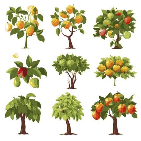 Illustration d'une variété d'arbres fruitiers rares et colorés