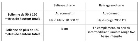 comparaison visuelle entre une fleur diurne et nocturne