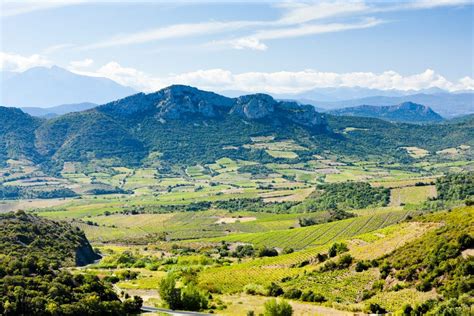 Paysage viticole et trufficole typique du Languedoc avec ses sols calcaires