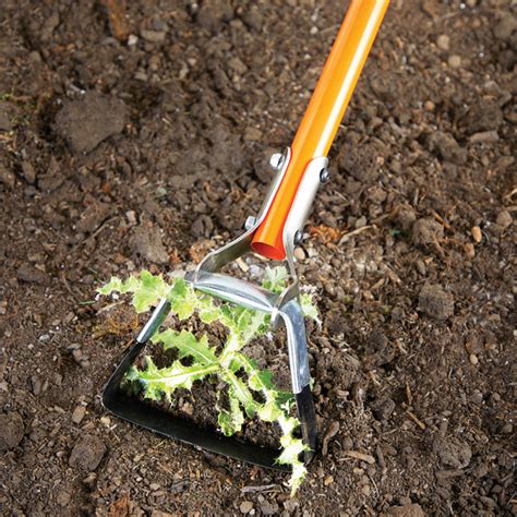 Schéma illustrant l'utilisation d'un grattoir de jardin en mouvement de va-et-vient dans un potager
