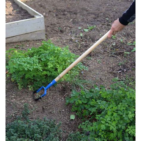 Un jardinier utilisant un grattoir de jardin sur une allée