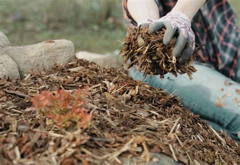 Paillage bloquant les mauvaises herbes
