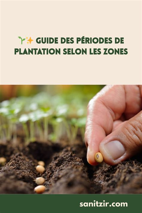 Graphique montrant les périodes optimales de plantation selon les zones climatiques
