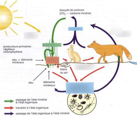 Schéma illustrant le cycle de la matière organique entre élevage et culture