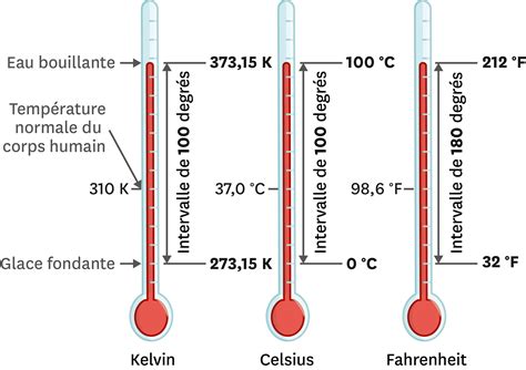 Photo comparative montrant la différence de température au thermomètre entre sol paillé et sol nu