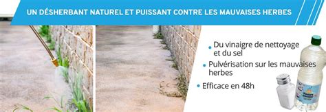 Schéma illustrant l'application localisée d'un désherbant avec un cache de protection sur une allée