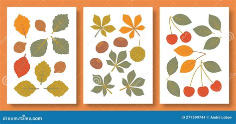 Illustration comparative des feuilles de Rubus et de leurs fruits