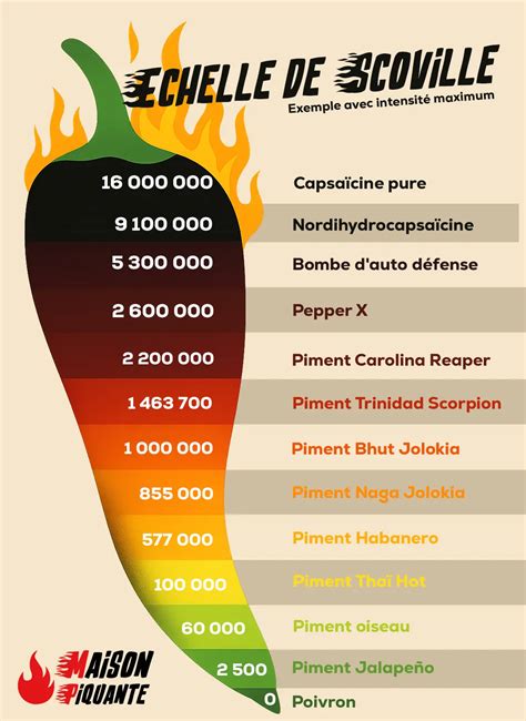 Schéma simplifié de l'échelle de Scoville illustrant la progression de la force des piments