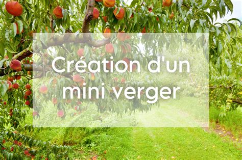 Carte d'orientation solaire idéale pour un verger dans un jardin